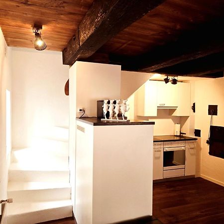 Chalet Happy Cow - Top Lage Naehe Bodensee, Rheinfall, Schaffhausen & Zuerich - Laendliche Idylle Mit Privat-Parkplatz Und Viel Komfort - 120M2 - 3 Stockwerke Ramsen エクステリア 写真