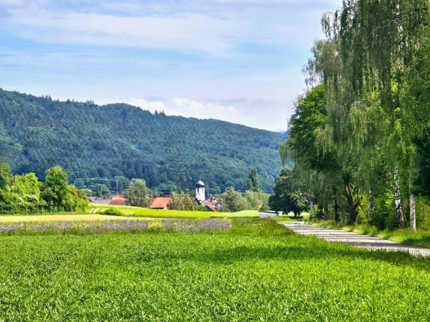 Chalet Happy Cow - Top Lage Naehe Bodensee, Rheinfall, Schaffhausen & Zuerich - Laendliche Idylle Mit Privat-Parkplatz Und Viel Komfort - 120M2 - 3 Stockwerke Ramsen エクステリア 写真