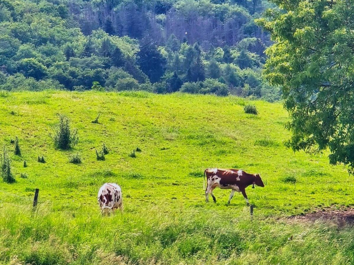 Ramsen Chalet Happy Cow - Top Lage Naehe Bodensee, Rheinfall, Schaffhausen & Zuerich - Laendliche Idylle Mit Privat-Parkplatz Und Viel Komfort - 120M2 - 3 Stockwerkeヴィラ エクステリア 写真